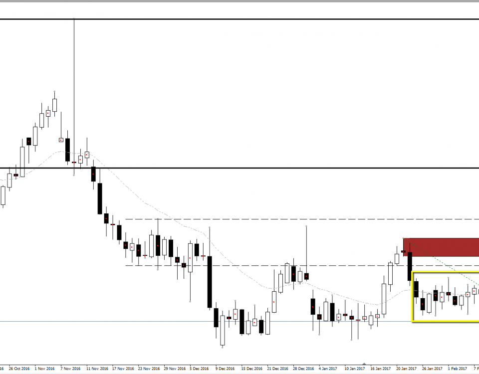 Forex term short long