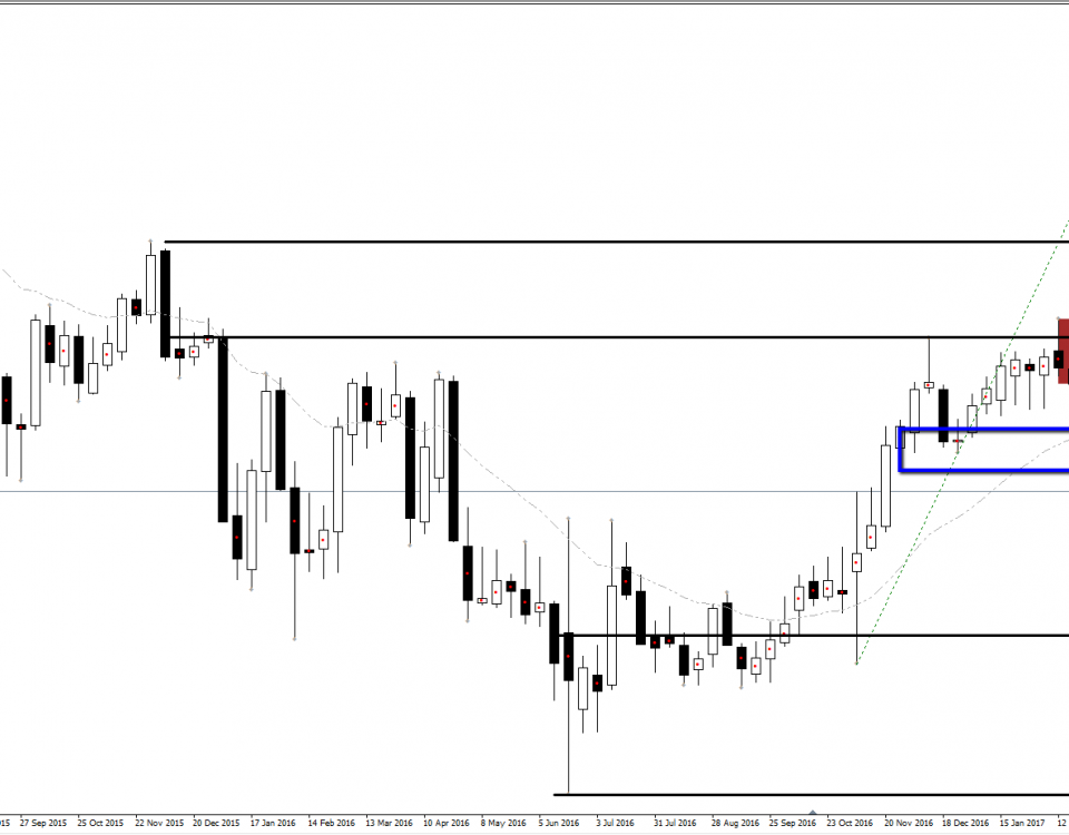 Forex di bali