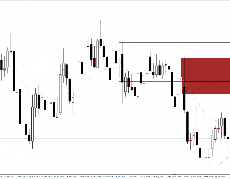 Forex uygulama