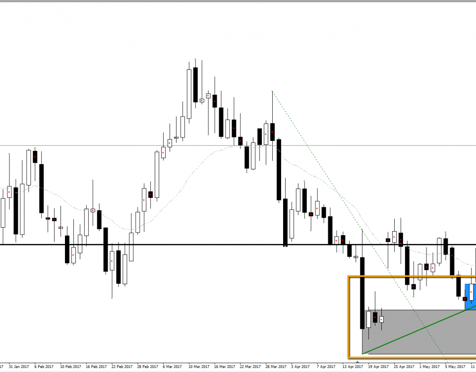 Forex advisor opzioni binarie