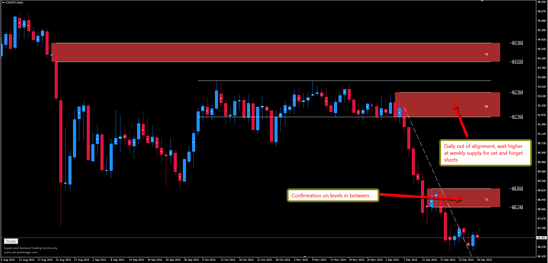 Daily set and forget forex
