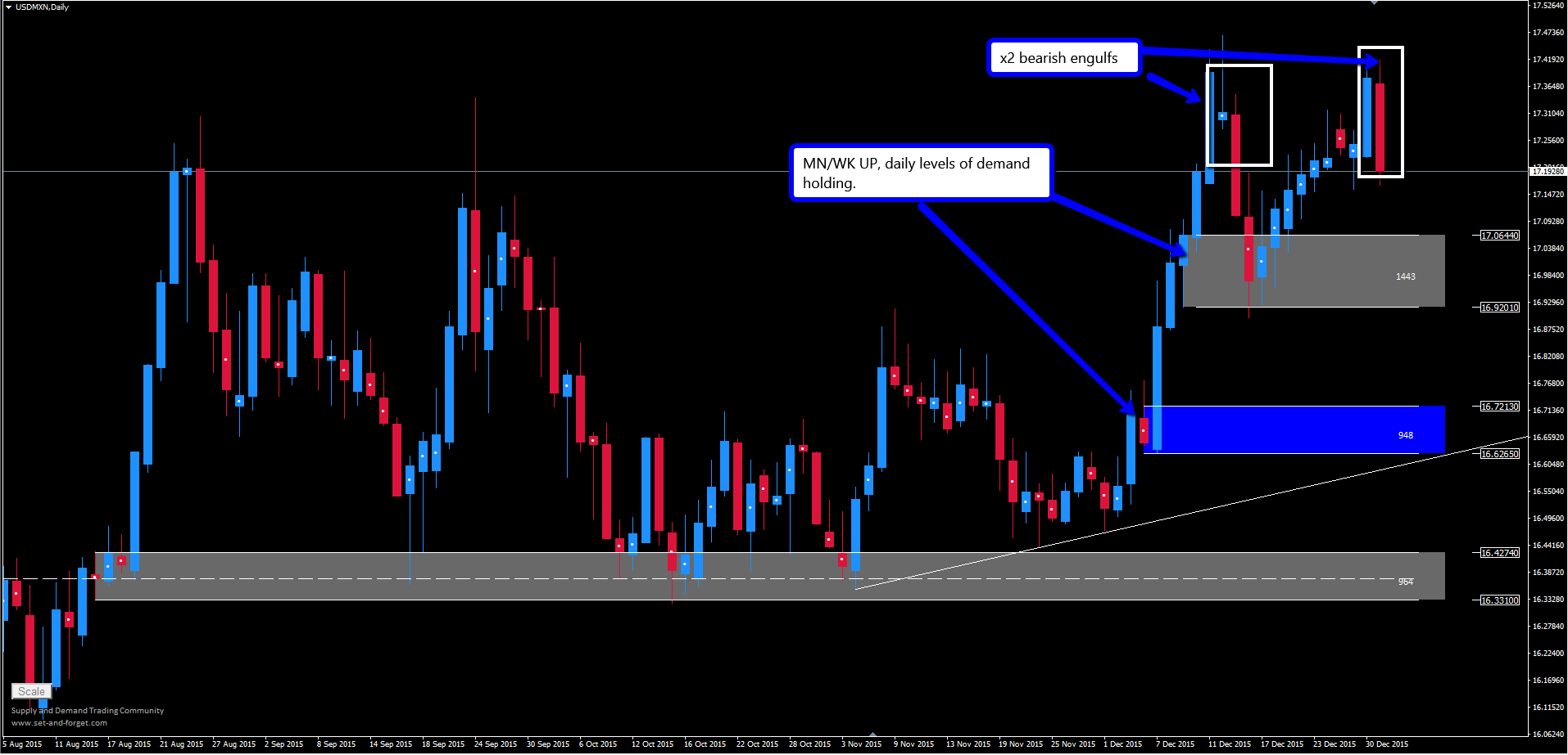 Daily set and forget forex