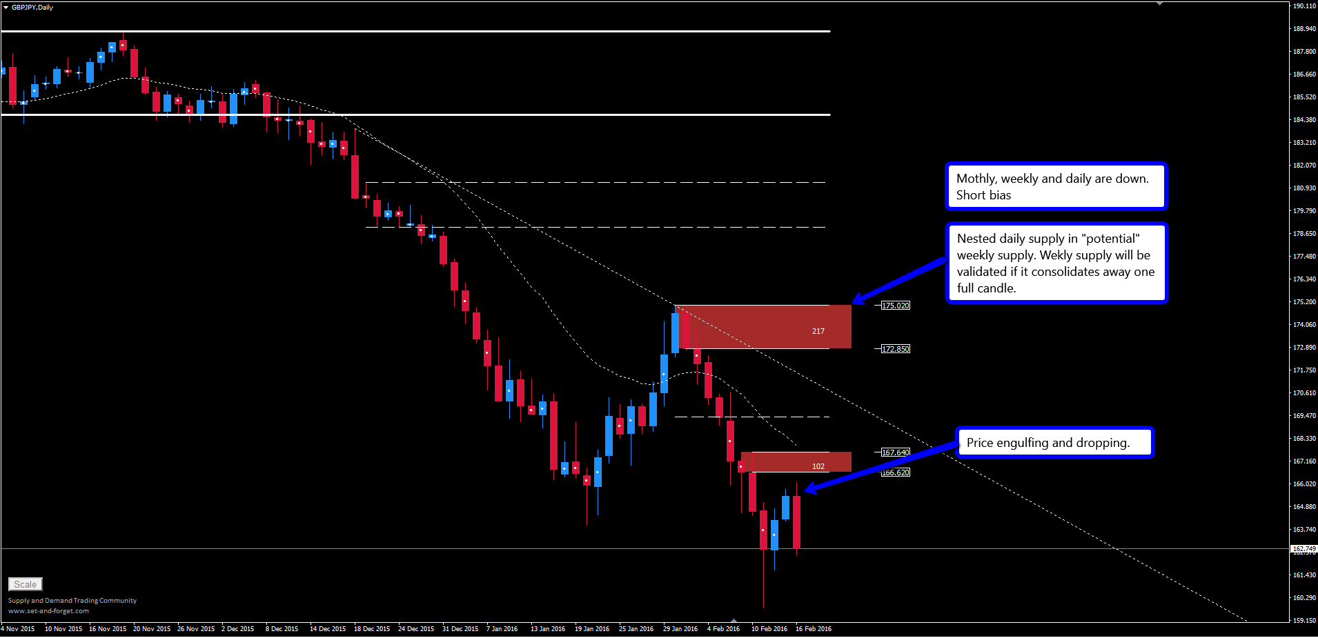 Forex community online